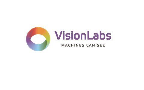  VisionLabs      