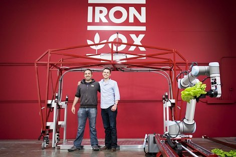 Основатели Iron Ox выращивают салаты с помощью роботов