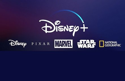 Disney     Netflix