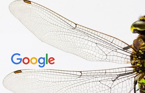  Google    Dragonfly