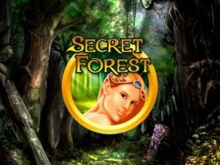   Secret Forest   