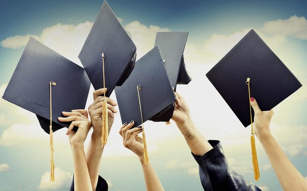 Чему способствует современная система образования: получению знаний или получению дипломов?
