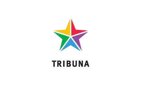 Impulse VC планирует инвестировать в Tribuna Digital порядка 3 млн долларов