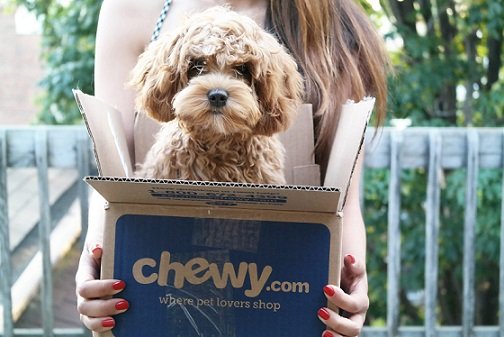 Ритейлер PetSmart объявил о поглощении стартап-компании Chewy