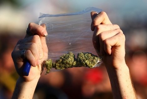 Власти Грузии отказались от выращивания марихуаны