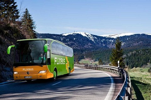 Сервис FlixBus из Германии анонсировал начало работы в РФ
