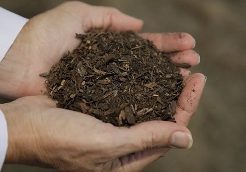 В США начнет действовать закон о компостировании останков