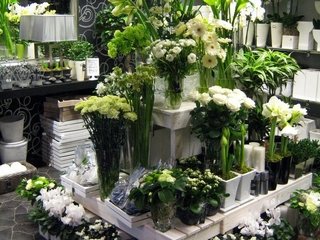 Особенности цветочных магазинов в Казани