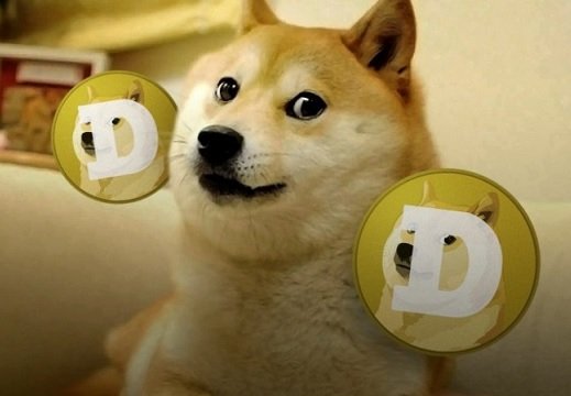 Вирусный ролик в TikTok увеличил объем торгов Dogecoin на 1 900%