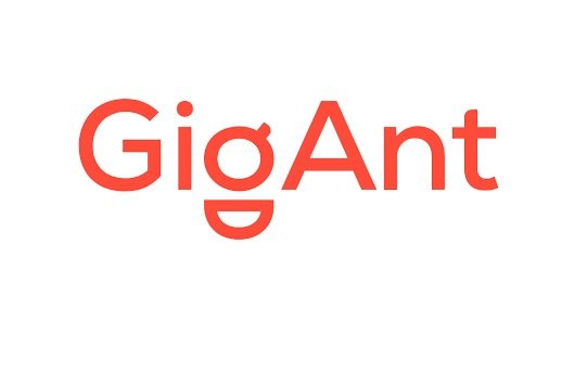 Avito вошел в капитал сервиса GigAnt
