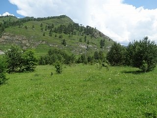 Земельные участки в Республике Алтай: в чем преимущества приобретения?