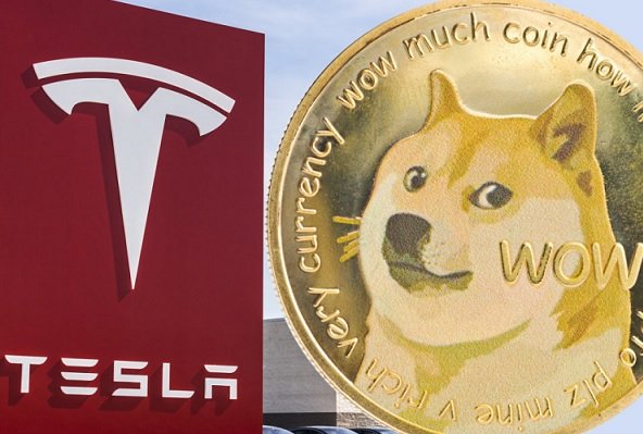 Tesla начала торговать мерчем за Dogecoin