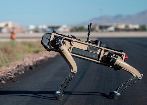Американцы могут начать использовать для охраны границы роботов-собак