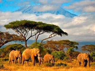 Туризм в Танзании: куда поехать и чем заняться?